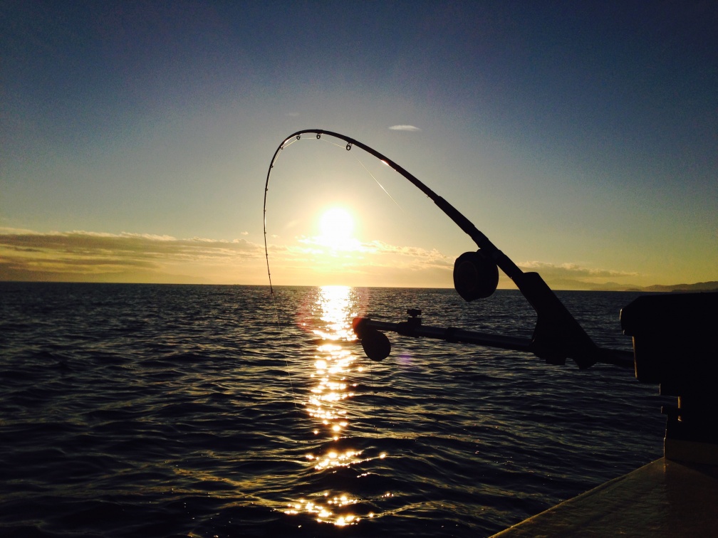BC - Fishing Charters - call 604-886-9760