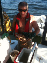 Cleaning Dungenus Crabs - Fishing Charters at BC Fishing Charters, Gibsons 